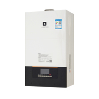 Chaudière murale à gaz naturel à double usage et chauffe-eau sans réservoir Prix d'usine pour usage domestique