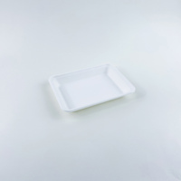 Plateau jetable biodégradable et compostable en bagasse de canne à sucre blanc pour emballage de fruits et fêtes