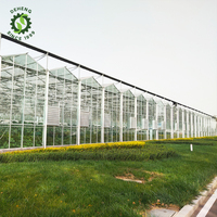 Chauffe-serre en verre intelligent Graines de fleurs avec système de culture hydroponique Système hydroponique agricole NFT
