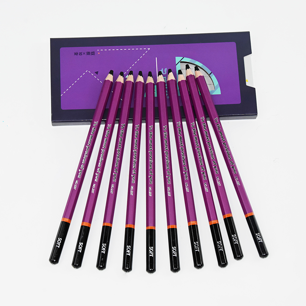 Оптовая продажа с завода логотипа на заказ, художественные чертежные карандаши с древесным углем