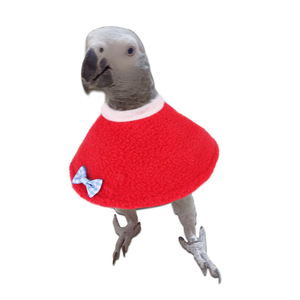 Collarín Cónico Ajustable para Pájaros y Loros, Collar Protector Elizabethano Antimordiscos para Recuperación de Loros - Product Image 3