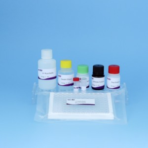 Bò bệnh lao IFN-Y Elisa Kit | 96t gia súc TB Kit chẩn đoán | CE chứng nhận thú y kiểm tra - Product Image 6