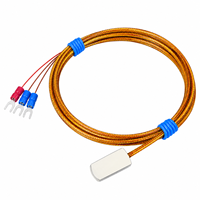 Sonde de température Pt100 à adsorption magnétique, tête de détection de surface, type patch d'aspiration, OEM, indice de protection IP65, garantie 1 an