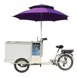 Năng Lượng Mặt Trời Ice Cream Ba Bánh Dc 12V Năng Lượng Mặt Trời Tủ Đông Bên Trong Ice Cream Bike Giỏ Hàng