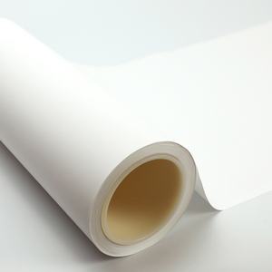 Nueva Tecnología, Membrana de Nylon de 0.2 Micras, Lámina de Nylon 100-120um PA66, Membrana de Nylon Positivamente Cargada, Subconjunto - Product Image 1