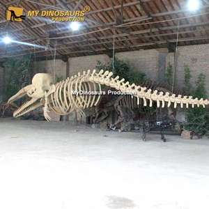 Mô Hình Bộ Xương Cá Voi Nhân Tạo V - Product Image 2