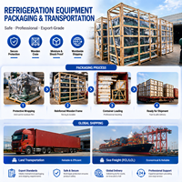 Equipo de Refrigeración de Alto Flujo para Trabajo Pesado, Unidad de Enfriamiento Industrial para Cámaras Frigoríficas, Sistema de Solución Térmica Profesional