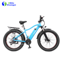 Vélo électrique à pneus larges 48V 1000W, 26 pouces, pour adultes, moteur à moyeu arrière, batterie au lithium, frein à disque