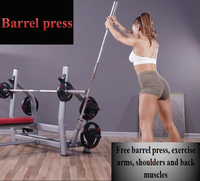 Équipement de fitness multifonctionnel moderne et robuste pour la maison : Banc de musculation, support pour haltères, rack à barres, paires d'haltères métalliques, pile de poids à câble pour musculation intérieure