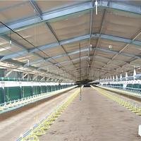 Conception industrielle Style poulailler Ferme avicole Construction bon marché Structure en acier Panneau sandwich commercial Vente d'œufs
