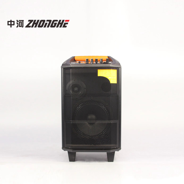 Wholesale Custom Portable Plastic Active Trolley Woofer Speaker Box with Microphone for Home Party