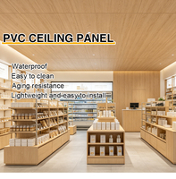 Nuevo Producto: Placa de Techo de PVC de Alto Brillo Resistente a la Humedad para Interiores de Supermercados y Tiendas Minoristas