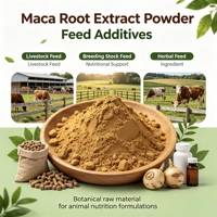 Poudre d'extrait de racine de Maca 10:1, 0,5%, 0,6%, 1%, 2% pour complément alimentaire avec service OEM, poudre d'extrait de Lepidium Meyenii