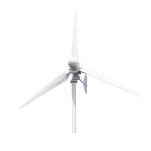 Free Energy 3KW 2KW Wind Turbine Generator With Waterproof Controller for Home Use Low Start-up Windmill Speed Off Grid System