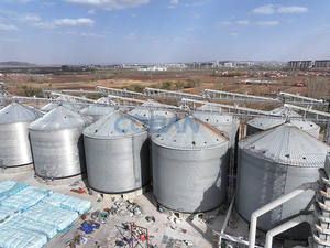1000-8000Ton mısır buğday tahıl Silo düz alt soya unu depolama Silo kanatlı hayvancılık çiftlik yem hattı hammadde mağaza - Product Image 4