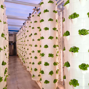 Sistema de <span class=keywords><strong>Torre</strong></span> Hidropónica Automática para Invernadero con Bomba para Cultivo Vertical Interior e Irrigación por Cultivo en Agua Profunda - Product Image 4