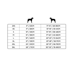 T-shirt con grafica - Aqua - Product Image 1