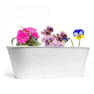 흰색 먼지 및 무광택 금속 타원형 욕조 꽃 냄비 어린이 페인트 식물 성장 꽃 키트