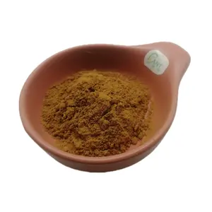 Natural Aloe Vera Extract Powder Aloe Emodin 50% 95% 98% Aloe-emodin Cas 481-72-1