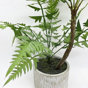 Succulentes artificielles personnalisées décoratives PVC <span class=keywords><strong>pot</strong></span> d'herbe jardinière écologique verdure réaliste nouveau Design <span class=keywords><strong>en</strong></span> gros plante arbre - Product Image 3