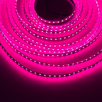 Bande lumineuse à LED RVB super lumineuse approuvée CE/Rohs 24V/12V SMD 2835 haute densité 120LED/M pour clubs, bars et lieux de divertissement