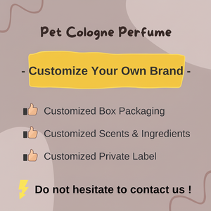 Mousse nettoyante à sec pour chats, éliminateur d'odeurs efficace - Product Image 1