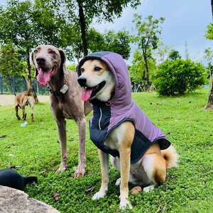 Wind dichte Outdoor-Kühlung Haustier Hoodie Jacke Haustier Kleidung Hund gepolsterte Kleidung Mantel Hund warmen Mantel für großen Hund mit einziehbaren Hut - Product Image 6