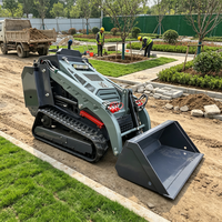 Konut İnşaatları için EPA Euro5 Sertifikalı Çok Fonksiyonlu Mini Skid Steer Yükleyici