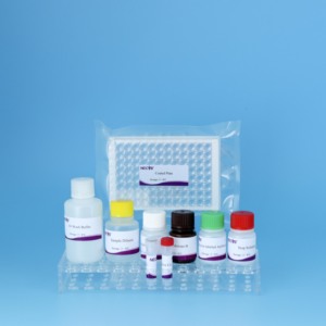 구제역 O형 <span class=keywords><strong>ELISA</strong></span> 키트 | 고급 액상 차단 분석 | 수의사용 96T/키트 - Product Image 4