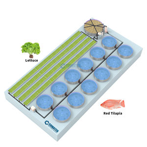Sistema Aquaponia Cowater Hidroponia de Piscicultura interior Sistema Aquaponia Alface e Tilápia Sistema Aquaponia Vegetais - Product Image 1