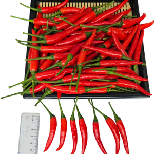Fresh Chili Professional Team Red Chilli Vietnam <b>Spices</b> After-Sales Service Agricultural in Vietnamese <b>Product</b> Manufacturer - Product Image 4