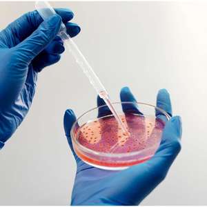 Matière plastique de puissance manuelle de plat de PETRI réutilisable certifiée par CE pour l'usage de laboratoire - Product Image 4