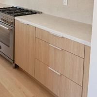 Cuisine moderne modulaire à panneaux plats bicolore avec îlot de cuisine et plan de travail en quartz pour la rénovation de maisons résidentielles