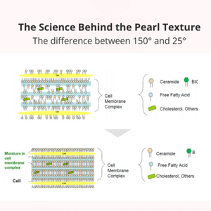 Crème Visage Anti-Âge et Éclaircissante Petitra EGF Multi-Peptides Revitalisant Cutané pour Usage Domestique - Product Image 4