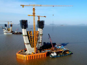 12 Ton <strong>Tower</strong> <strong>Crane</strong> XGT7020-12 Construction Lifting Machine - Product Image 3