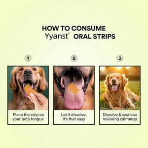 OEM/ODM เบตเตอร์ นิวทริชั่น ช่วยเสริมสร้างสุขภาพทางอารมณ์ แผ่นอมบรรเทาความเครียดสำหรับสัตว์เลี้ยงจากธรรมชาติ บรรจุภัณฑ์แบบกำหนดเองได้ - Product Image 2