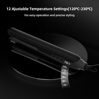 Plancha de Pelo 2 en 1 con Cerámica Iónica Infrarroja, Control de Temperatura Eléctrico para Peinado Profesional en Salón