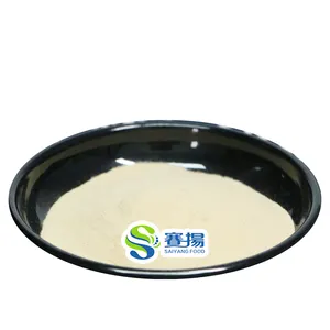 Docosahexaenoic Acid Dha Oil Powder Food Grade Pure DHA Powder 10% Docosahexaenoic Acid Powder