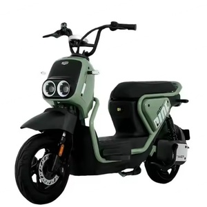 Trottinette Électrique Adulte 14 Pouces avec Siège Intégré 60V, Nouveau Vélo de Livraison, Moteur Arrière, Pneu Large, Moto Électrique 14 Pouces - Product Image 2