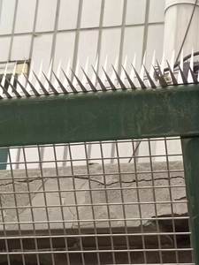 Usine gros jardin clous en acier inoxydable conception <span class=keywords><strong>anti</strong></span>-salissure pour dissuader les oiseaux et les pigeons fil de fer matériel bas prix - Product Image 2