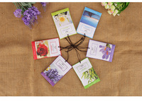 Petits magasins de grande collection d'hôtels de luxe Sachet d'arôme de vermiculite verte perles parfumées