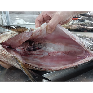 Poisson croaker brun congelé à bas prix, éviscéré, pour <span class=keywords><strong>la</strong></span> vente en gros de fruits de mer, poisson croaker congelé à vendre - Product Image 3