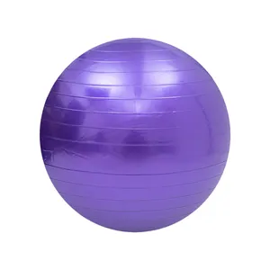 High Quality 75cm Anti-Burst PVC Fitness Yoga Ball Round Pilates Exercise Ball