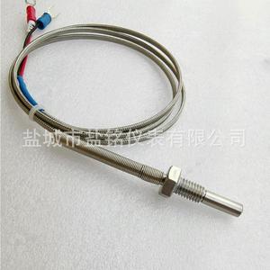 Salt Inscription E Type Thermocouple 0-400 Celsius Wire Leads Temperature Sensor - Product Image 4