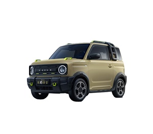 Modèles les plus populaires de Geely Panda Mini Electric Karting : Vitality Bear, Pig Man, Knight Endurance Variant, pour une mobilité facile pour la nouvelle génération. - Product Image 1