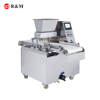 R & M – machine à biscuits, petite machine automatique commerciale, presse à biscuits, dépôt, machine à biscuits fortune