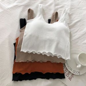 سترة ملابس داخلية جديدة عالية الجودة للنساء قابلة للتنفس بدون خياطة ، سترة ملابس داخلية ملونة عصرية بنمط ثابت - Product Image 6