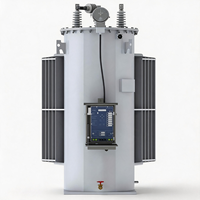 Régulateur de tension automatique immergé dans l'huile 14,4KV 19,9KV 500KVA avec affichage numérique et protection contre la surchauffe