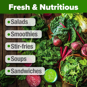 25,800 + cimelio di verdure Non ogm 95% la germinazione 10 varietà di burro di cavolo nero per piantatrici di vasi di fiori idroponici - Product Image 6