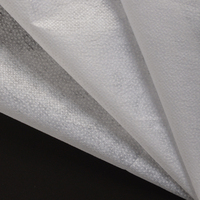 Entoilage thermocollant en polyester non tissé à points (Pes Dot) pour vêtements, très demandé